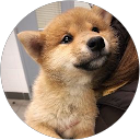 LL Leon profile picture
